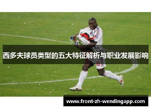西多夫球员类型的五大特征解析与职业发展影响 西多夫球员类型的五大特征解析与职业发展影响
