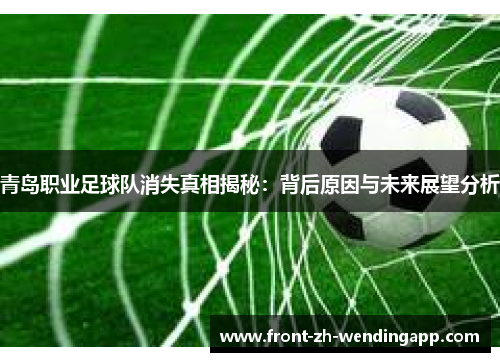 青岛职业足球队消失真相揭秘:背后原因与未来展望分析 青岛职业足球队消失真相揭秘:背后原因与未来展望分析
